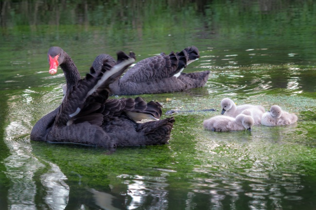 2023年8月23日结婚日子吉利吗 嫁娶好不好