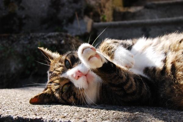 2023年8月23日签约好不好 适合签约吗