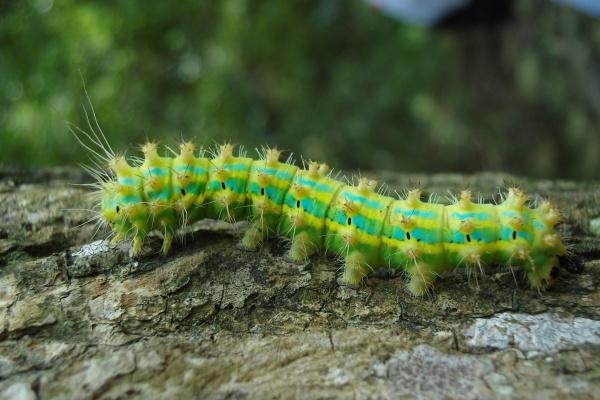 狂月天时 0721每日星座运势