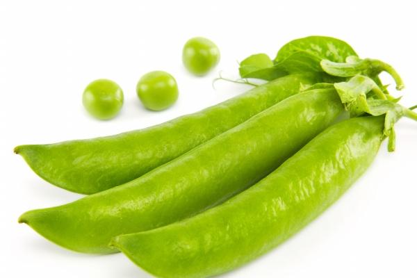 苏珊米勒 今日星座运势查询7.24