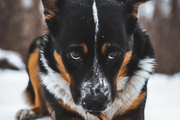 独来独往不合群的星座 天生孤僻,不随波逐流