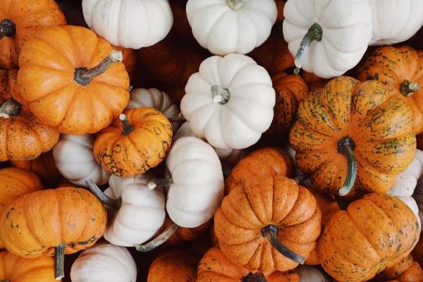 2023年8月7日动土好不好 是动土黄道吉日吗