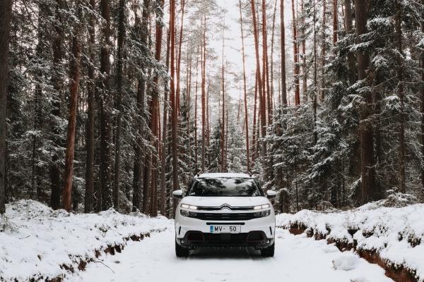 处女座8月份运势2023年 8月处女座运势详解