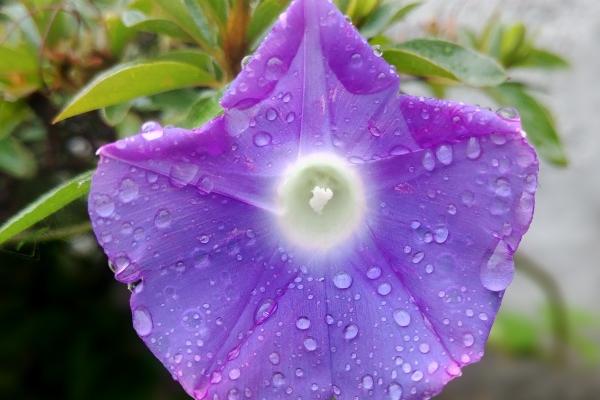 2023年8月20日适合入宅吗 是入宅最旺日子吗