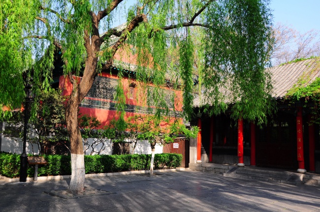 狮子座8月份运势2023年 8月狮子座运势详解