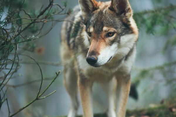 2023年8月21日入宅好吗 是入宅最佳日期吗