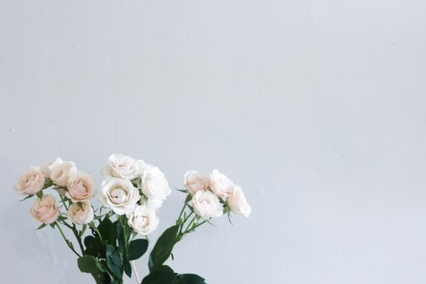 双子座8月份运势2023年 8月双子座运势详解