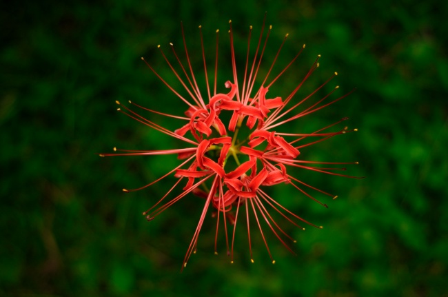 天蝎座8月份运势2023年 8月天蝎座运势详解