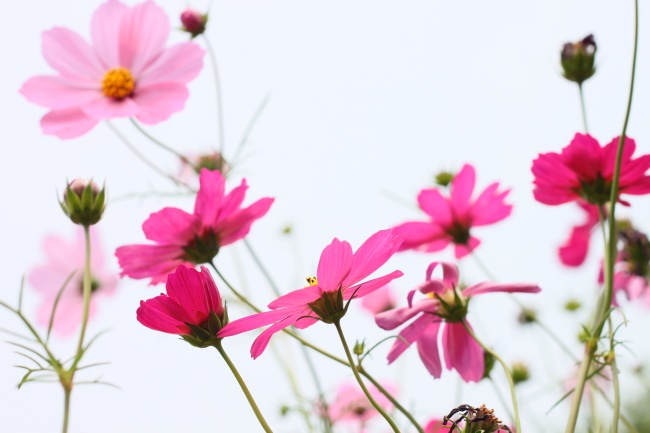 金牛座8月份运势2023年 8月金牛座运势详解