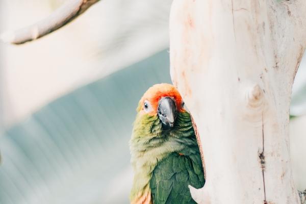 静电鱼 2023.7.24—7.30本周重要星象