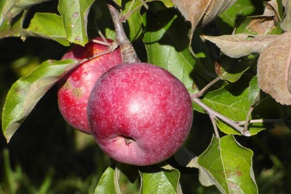 2023年8月19日适合入宅吗 迁居吉利吗