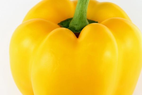 2023年8月23日宜动土吗 处暑可以破土吗