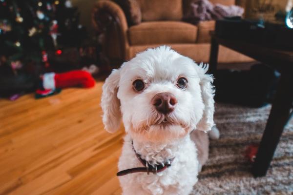 闹闹女巫 0727十二星座今日运势