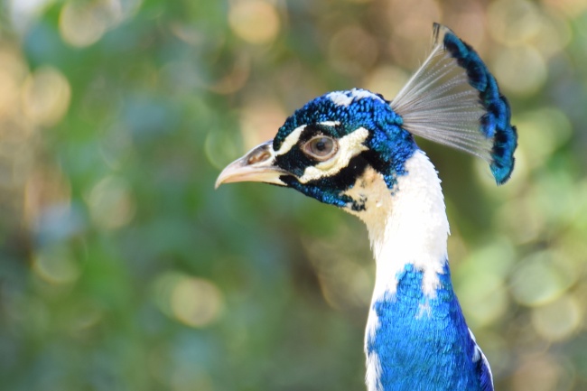 2023年8月20日安门好不好 是安门吉日吗