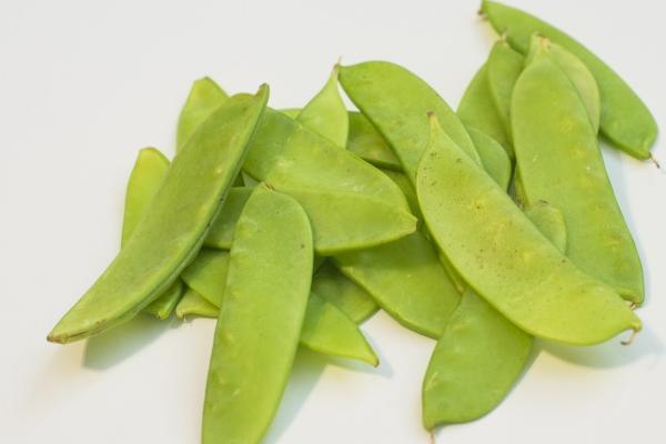 2023年8月1日适合装修吗 可以装修房子吗