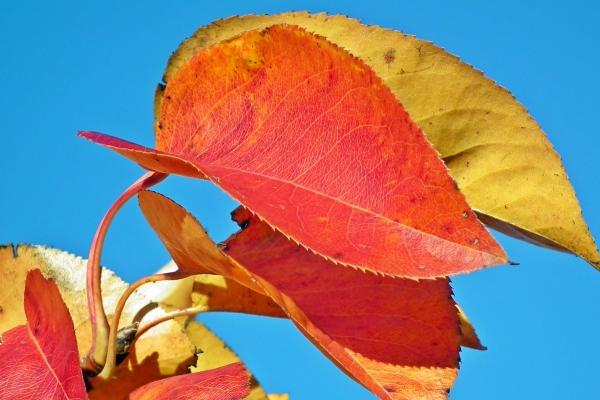 2023年小雪艳遇指数高的星座 快速展开恋爱关系