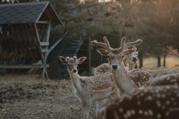 2023年8月11日出行吉时 是出门的好日子吗