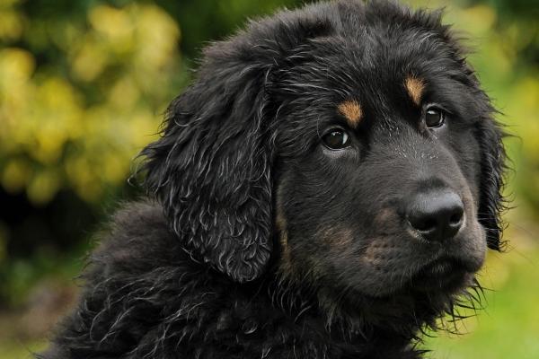 2023年8月2日吉时查询 最吉利的时间