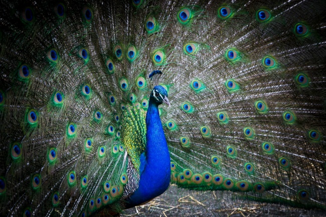 2023年8月5日五行穿衣旺运 穿什么颜色衣服适合