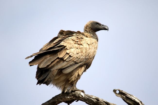 2023年8月3日黄历吉时 旺运势时辰查询表