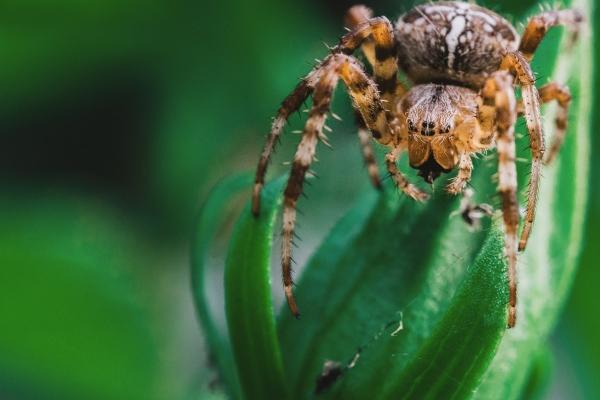 80大寿包红包的讲究,给老人过生日需要注意什么