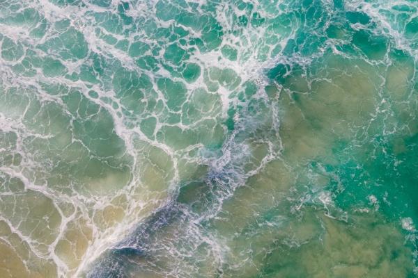 十二星座2023年12月份学业运势排名前三分析