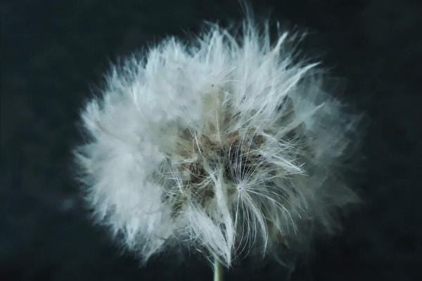 拜太岁上午还是下午好,如何化解太岁