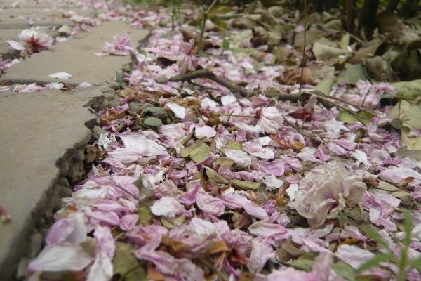 唐绮阳天蝎座2023年8月运势详解