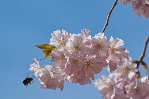 2023年8月出生的宝宝五行缺什么 宝宝命局怎么样