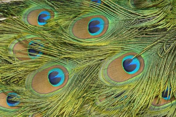 2023年8月8日吉时是什么时辰 立秋时辰查询