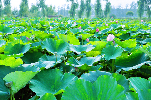 2023年8月13日吉时是几点 最吉利的时辰