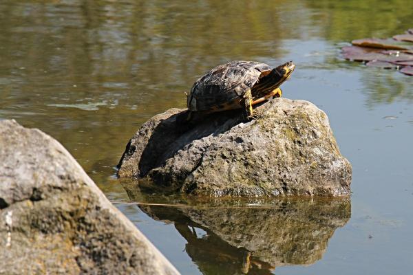 2023年8月4日适合开业吗 这天开业好不好