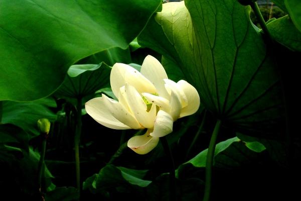 如何看命盘 怎么解读自己的命盘