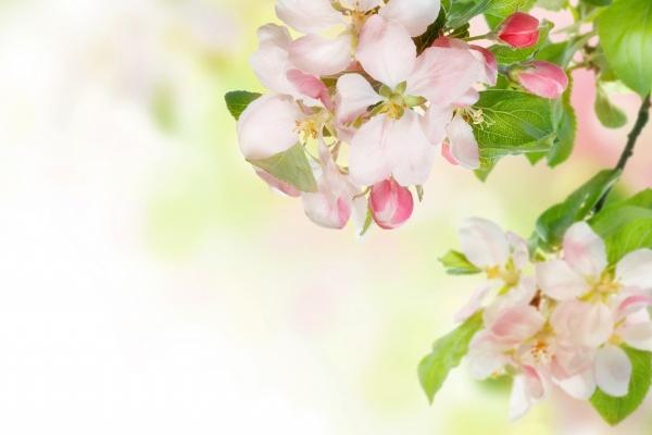 2023年8月12日吉时是什么时辰 本日吉时凶时