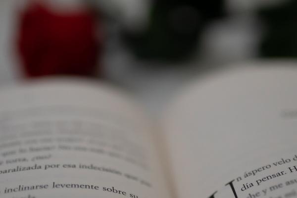 2023年8月16日适合安门吗 可不可以安门