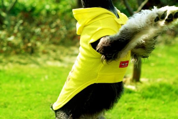 2023年8月15日出行吉时 是出门的好日子吗