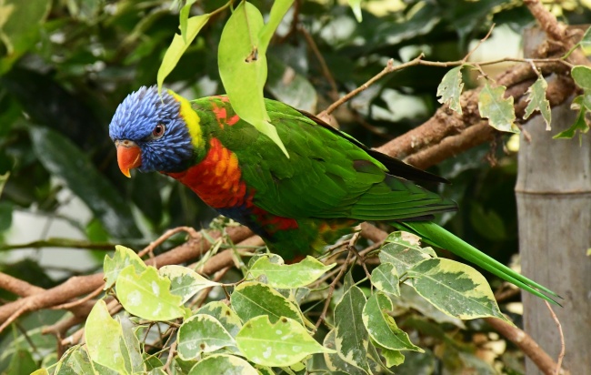 2023年大雪事业运发展趋势非常好的星座 一飞冲天  　　