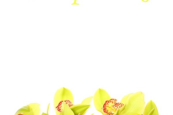 2023年9月10日是不是结婚吉日 教师节办婚礼吉利吗