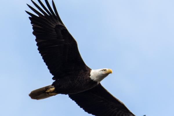 2023年小雪学习运有所提升的星座 努力会有回报