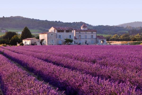 2023年8月20日冲什么生肖 今日属相冲什么