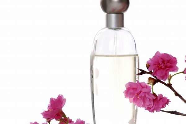 艾菲尔 十二星座一周运势7.31—8.06