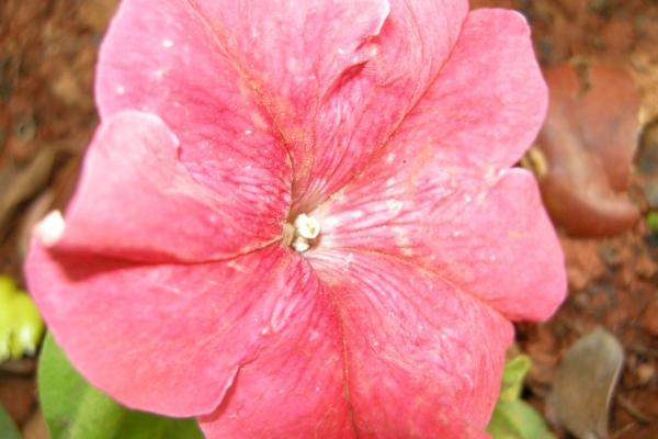 第一运程 2023年9月23日十二生肖运势解析