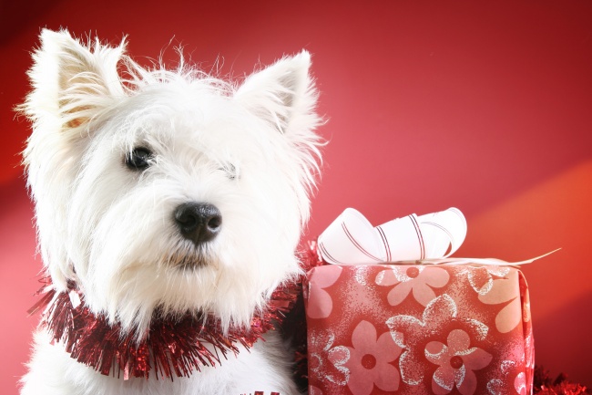 2023年8月24日出行好不好 出行吉利吗