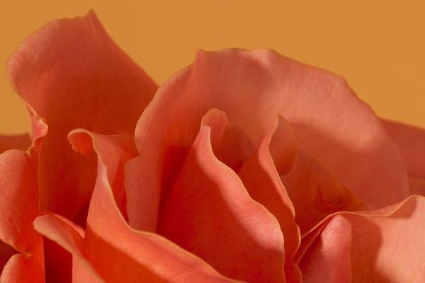 2023年小雪贵人运旺盛的四大星座 得到质的提升