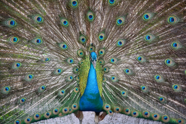 2023年9月8日结婚日子吉利吗 白露办喜事吉利吗