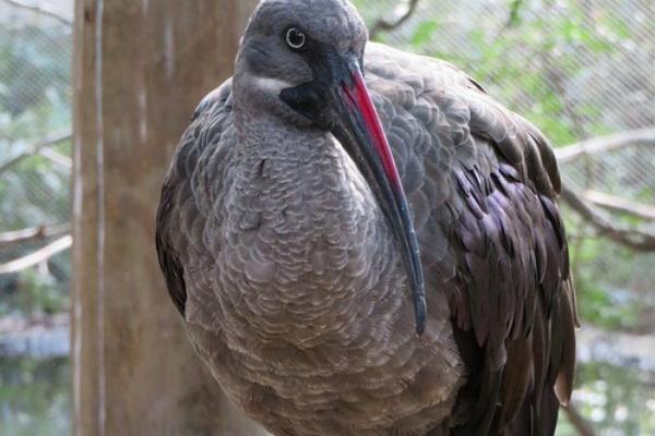 2023年8月29日吉时是几点 今日吉凶时辰查询