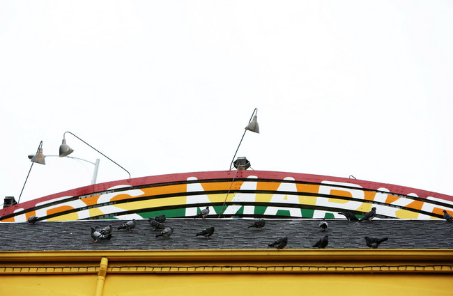 天秤座为什么搞不定狮子座 天秤座敌不过狮子