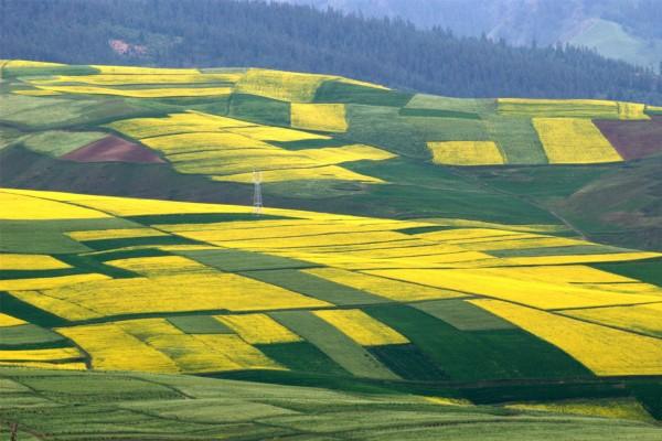 2023年8月22日黄历吉时 哪个时辰吉利