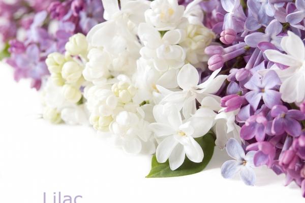 2023年8月26日开业好吗 这天是开门大吉的日子吗