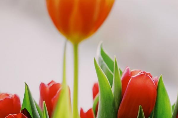 2023年8月15日提车怎么样 买车提车好不好